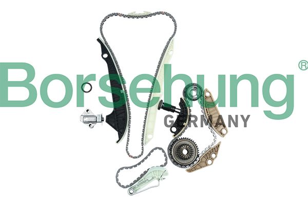 BORSEHUNG B19209 Timing chain kit
