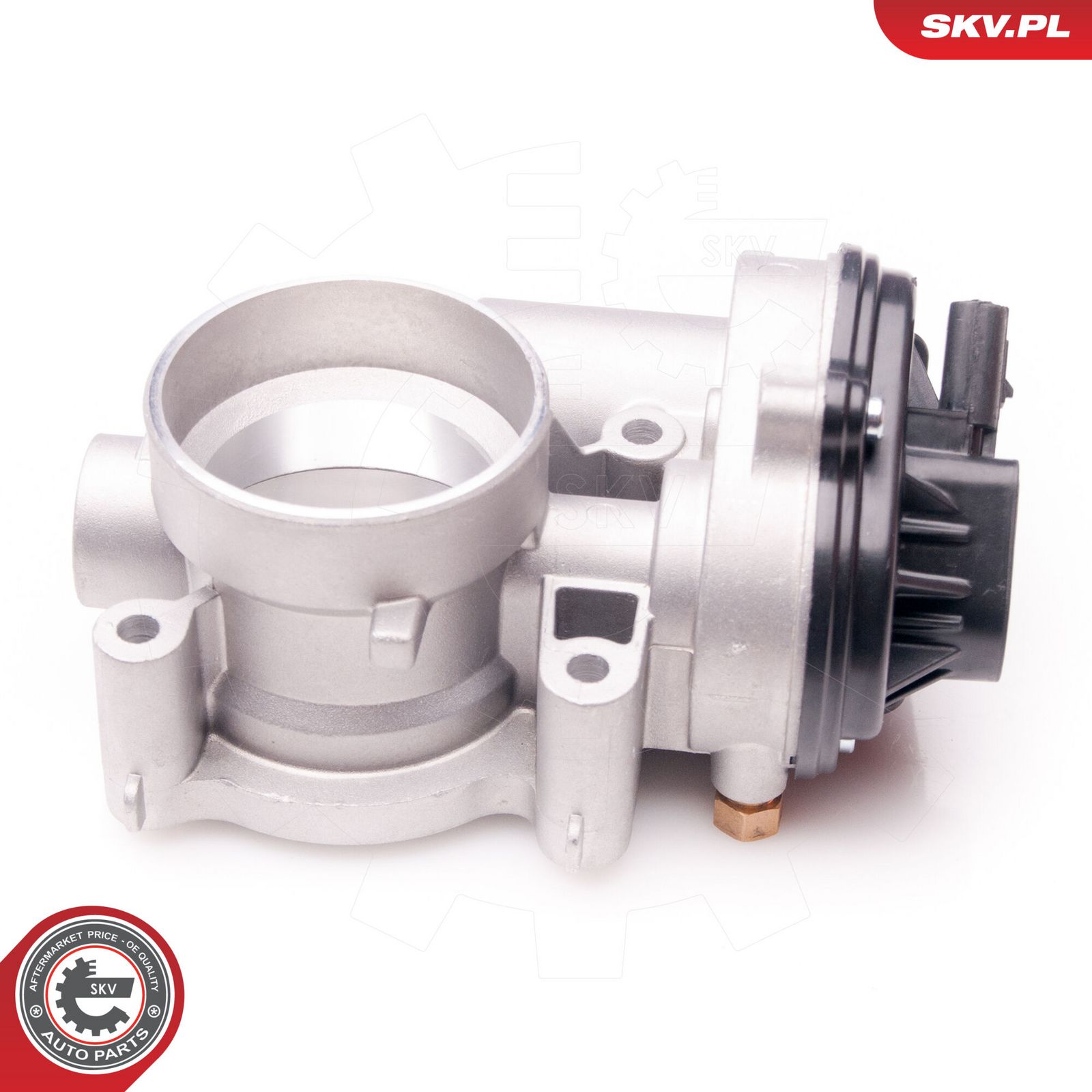 Throttle Body-1