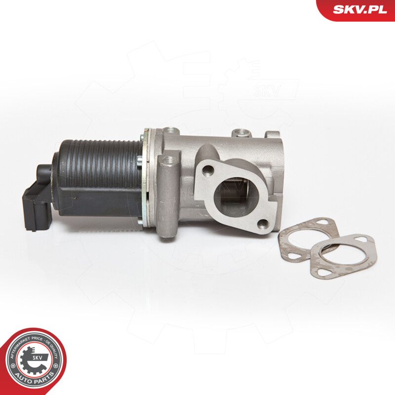 EGR Valve-5