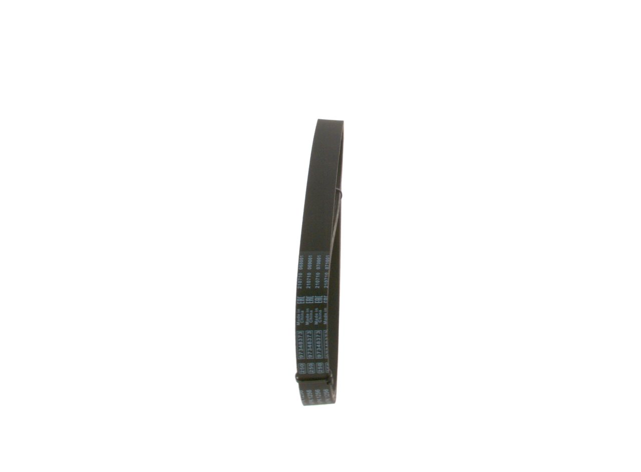 V-ribbed Belt-3