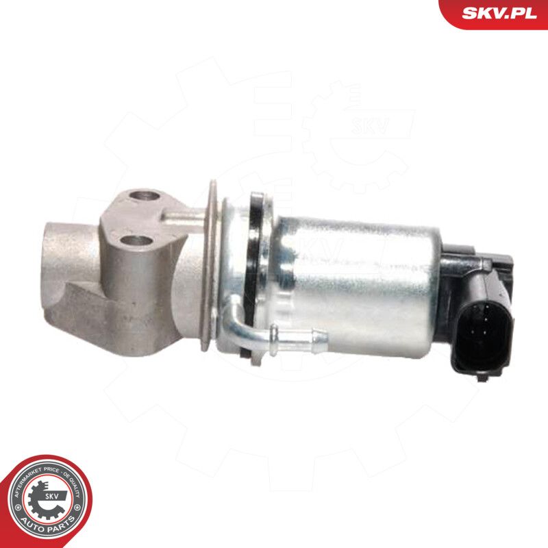 EGR Valve-1