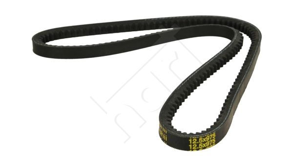 HART 331 661 V formos diržas