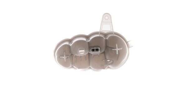 Expansion Tank, coolant-9