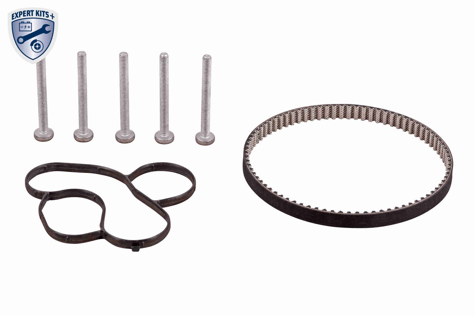 Water Pump & Timing Belt Kit-1