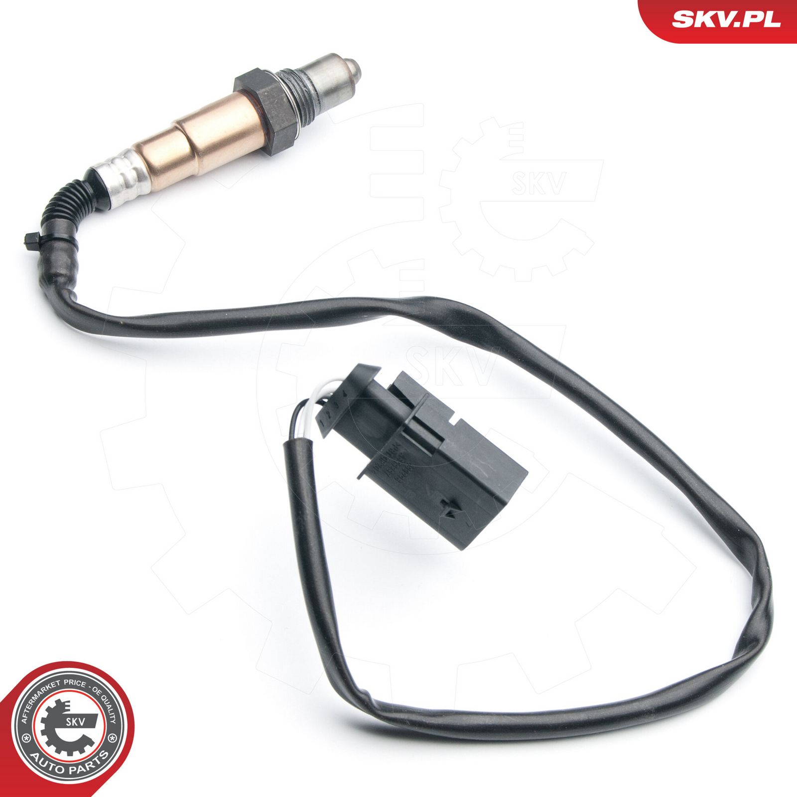 Oxygen Sensor