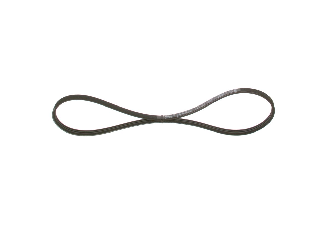 V-ribbed Belt