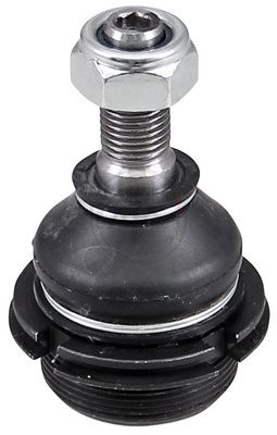 Šarnyras / girgždukas