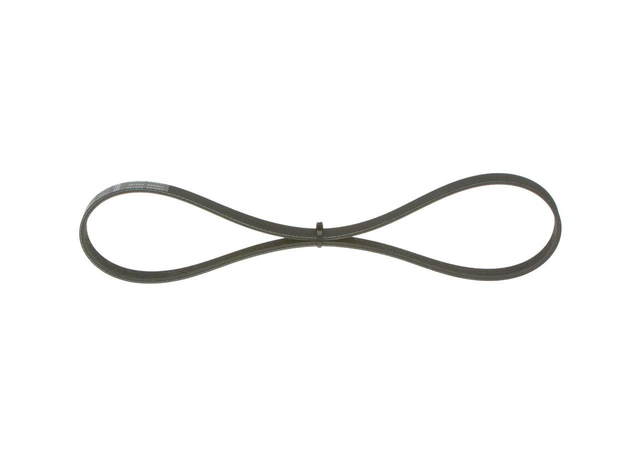 V-ribbed Belt