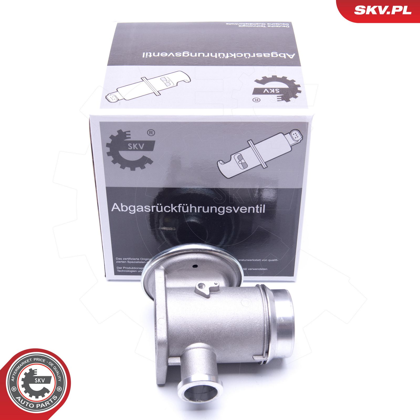 EGR Valve-5