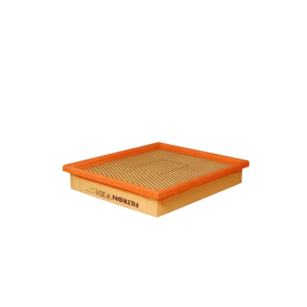 FILTRON AP 003/6 Air filter