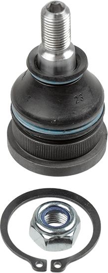 LEMFÖRDER 34553 01 Šarnyras / girgždukas