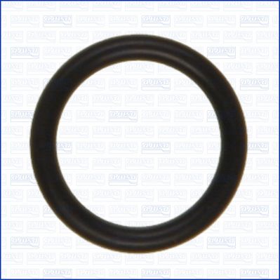 Seal Ring, injector