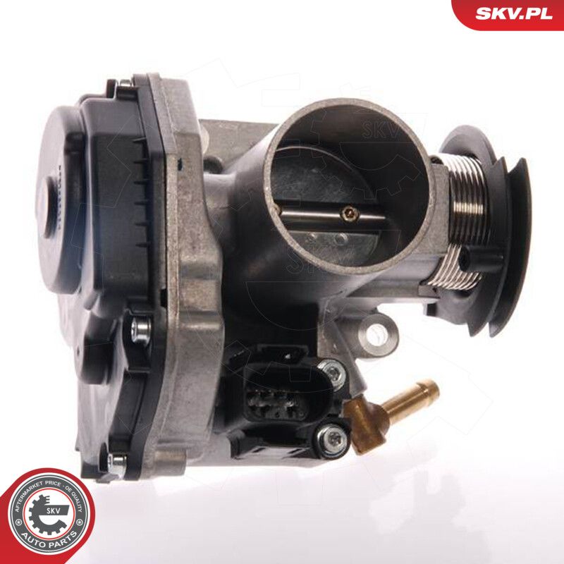 Throttle Body-2