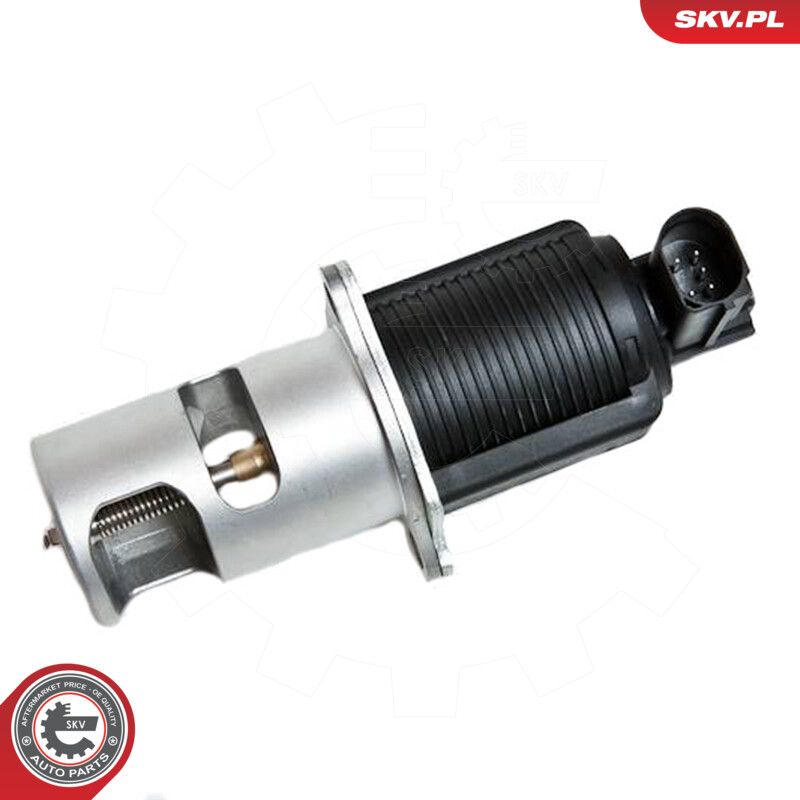 ESEN SKV 14SKV032 Egr valve