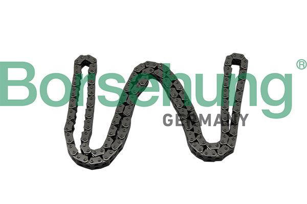 BORSEHUNG B17886 Timing chain