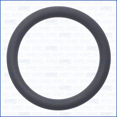 Seal Ring, charger-1