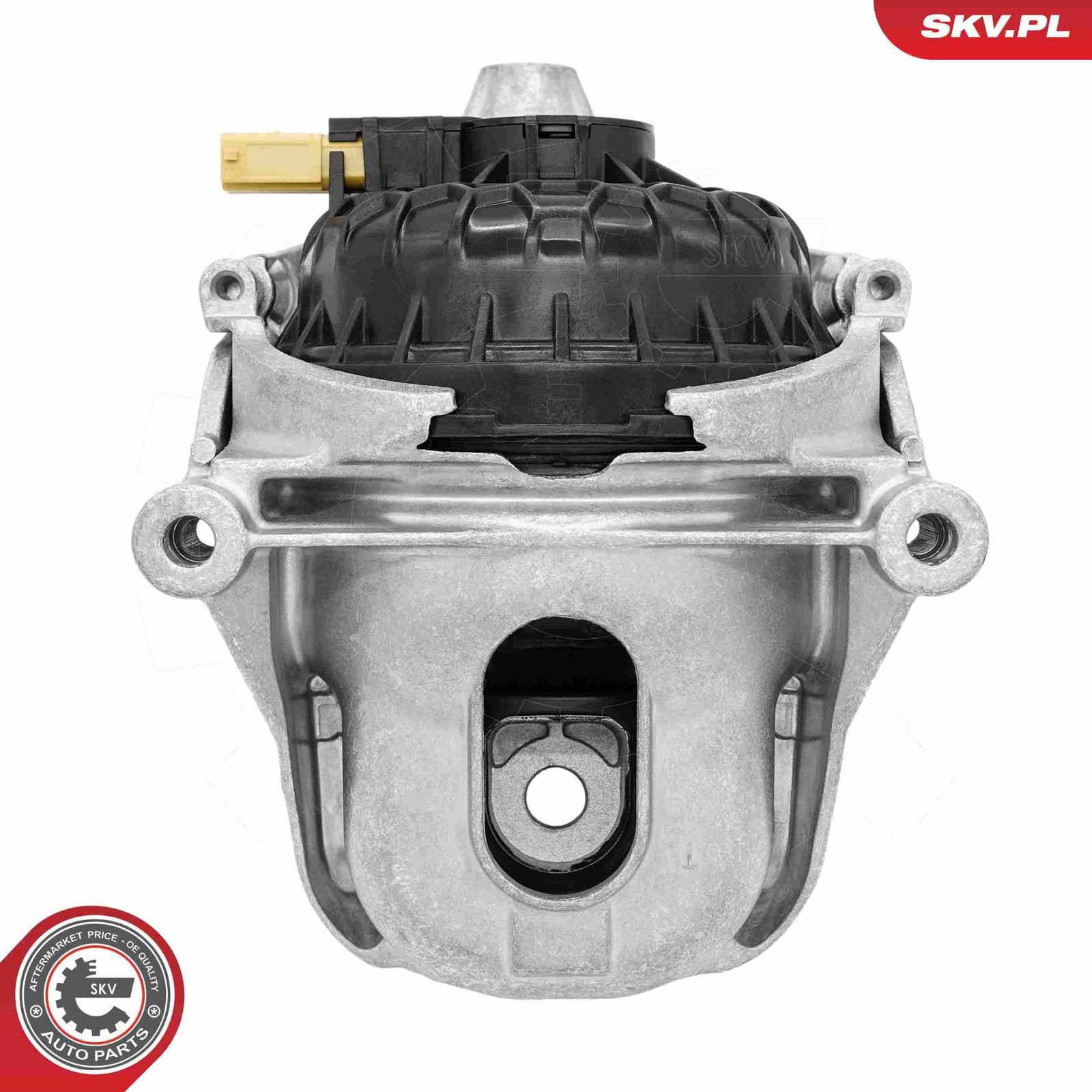 Mounting, engine-7
