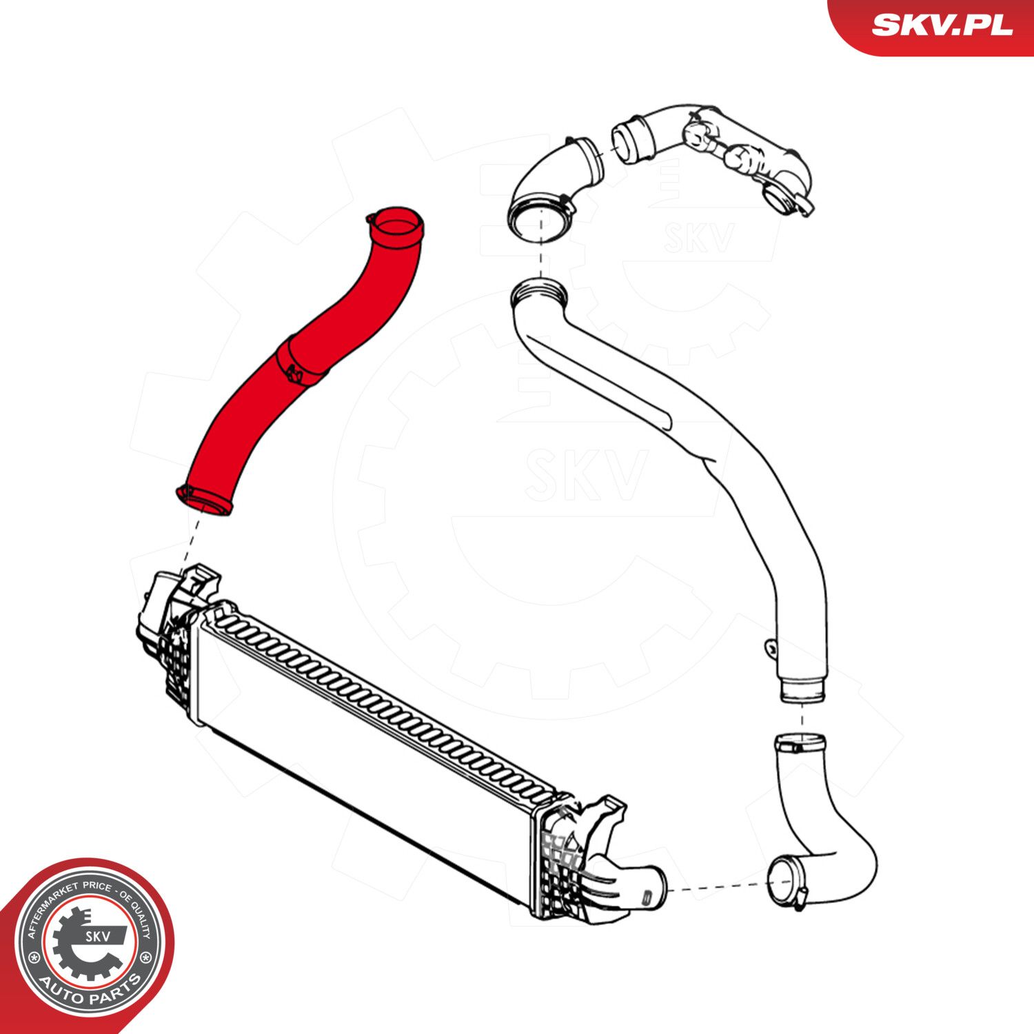 Charge Air Hose-2