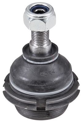 Šarnyras / girgždukas