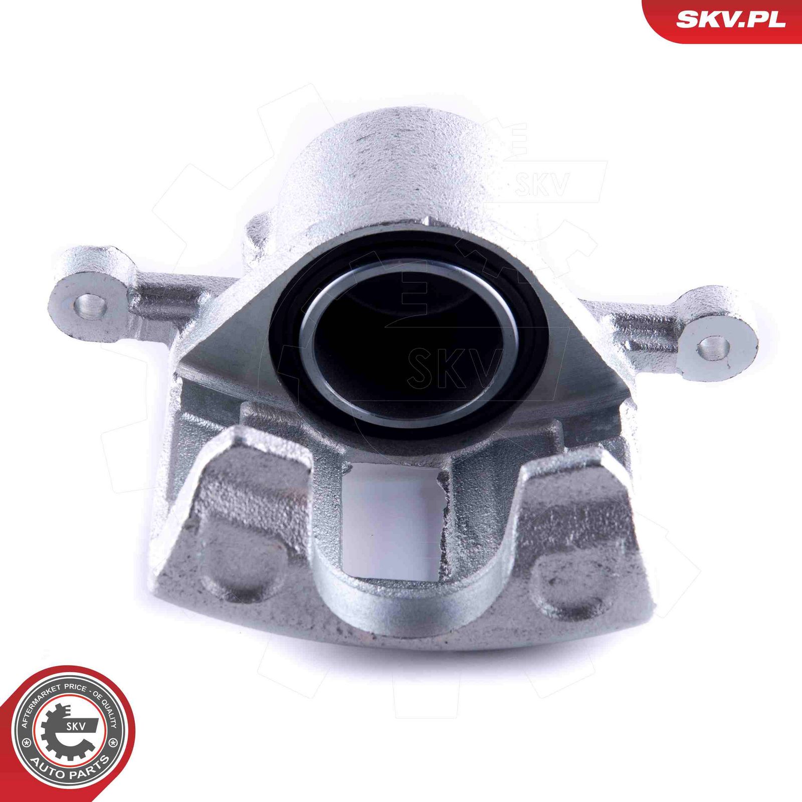 ESEN SKV 55SKV101 Brake caliper