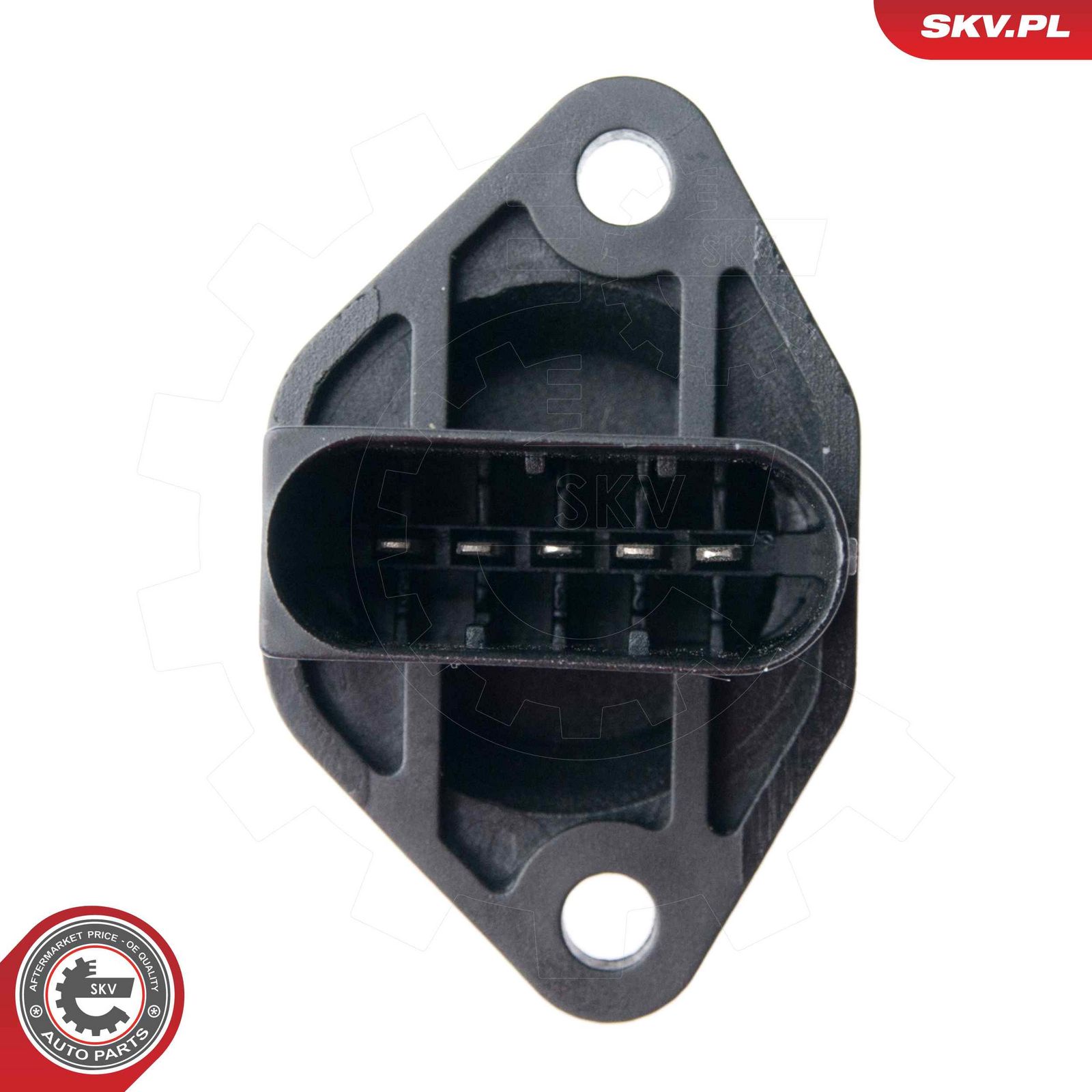 Mass Air Flow Sensor-1