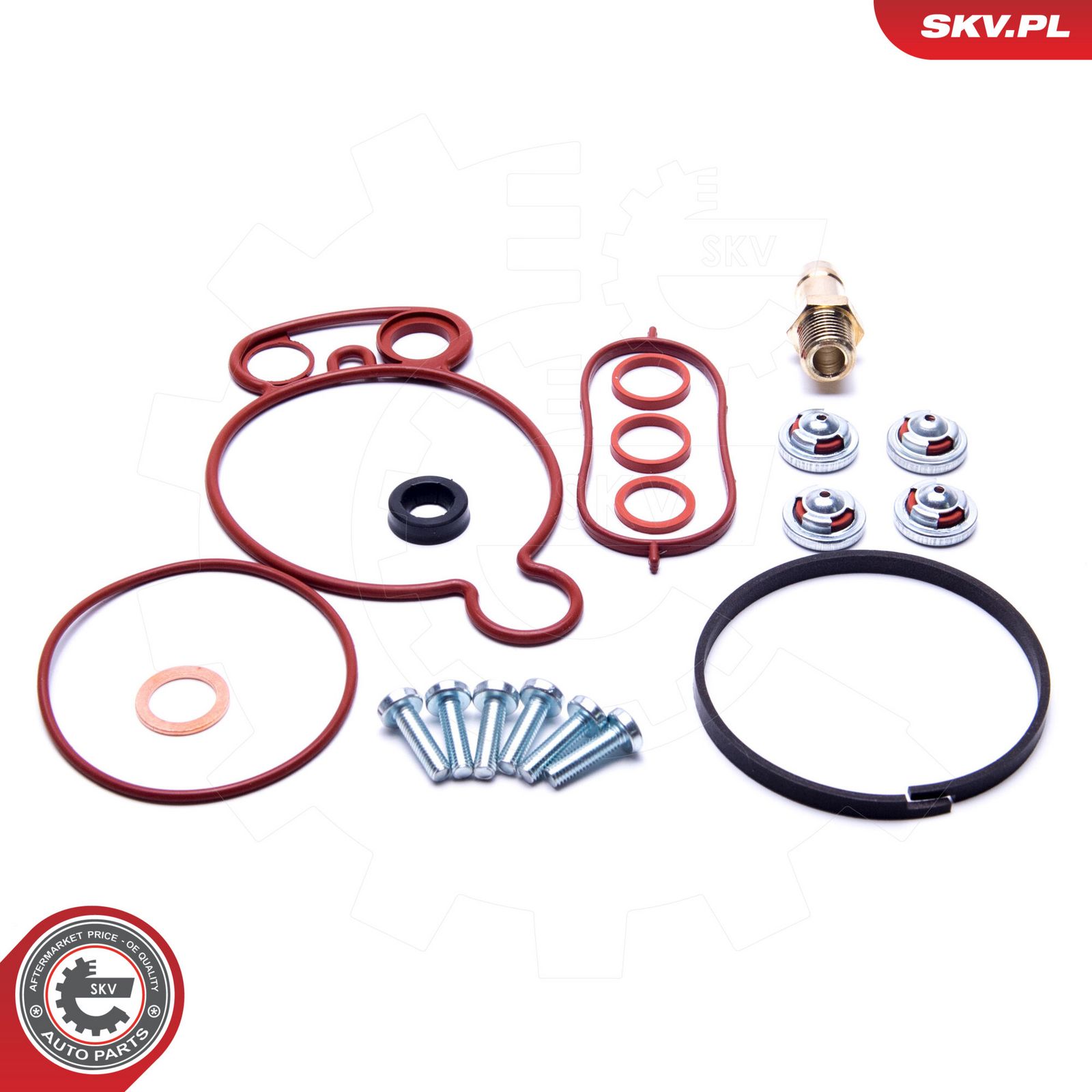 ESEN SKV 18SKV805 Repair set, vacuum pump (braking system)