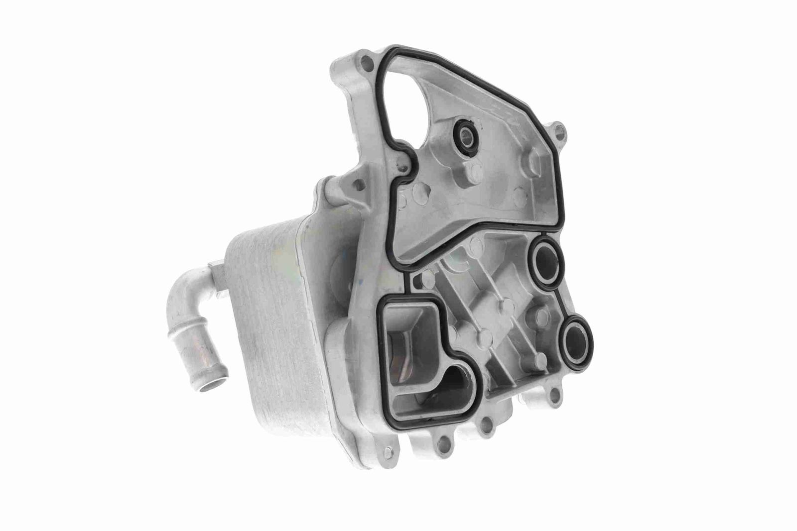Oil Cooler, engine oil-7
