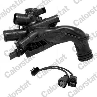 Thermostat, coolant