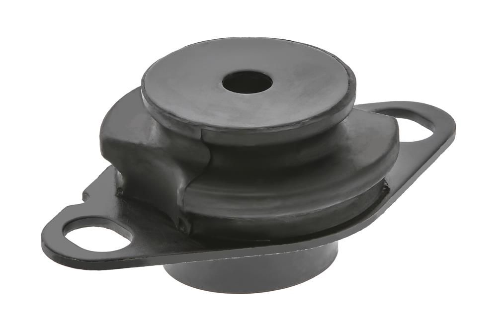 TOPRAN 700 218 Mounting, engine