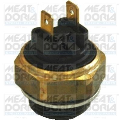 Temperature Switch, radiator fan-main