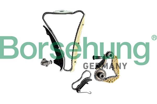 BORSEHUNG B12519 Timing chain kit