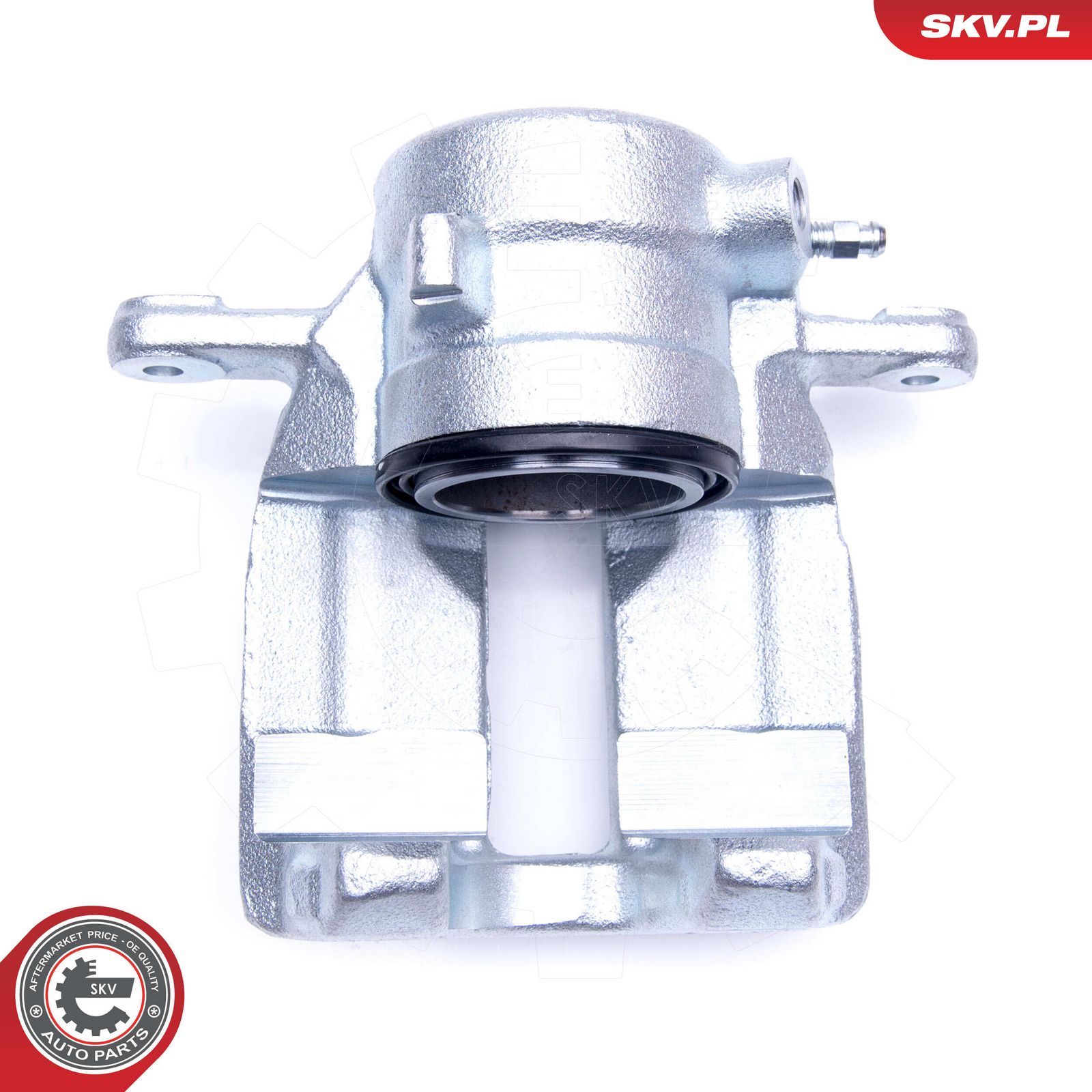 Brake Caliper-5