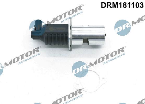 DR.MOTOR AUTOMOTIVE DRM181103 Egr valve