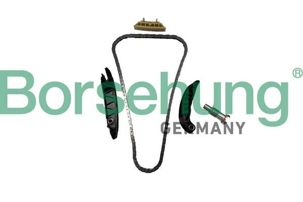 BORSEHUNG B10256 Timing chain kit