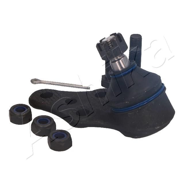 Šarnyras / girgždukas-1