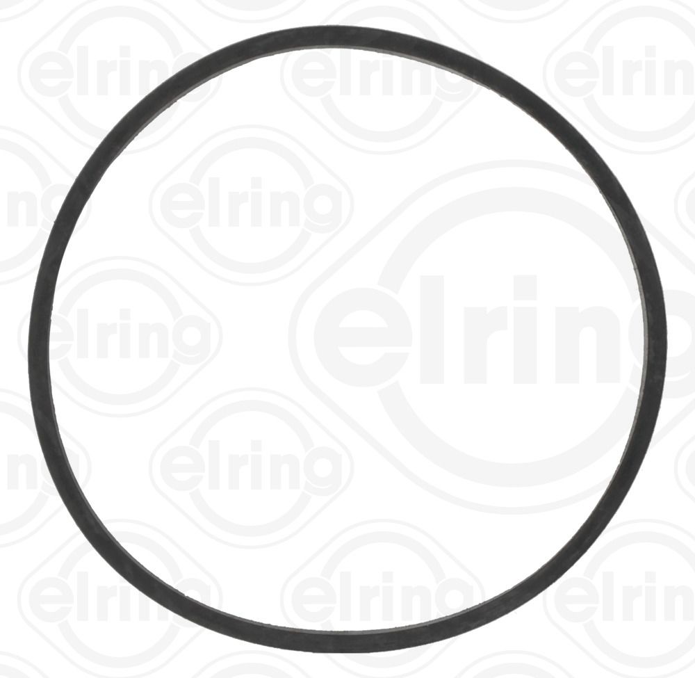 Gasket, thermostat housing-1