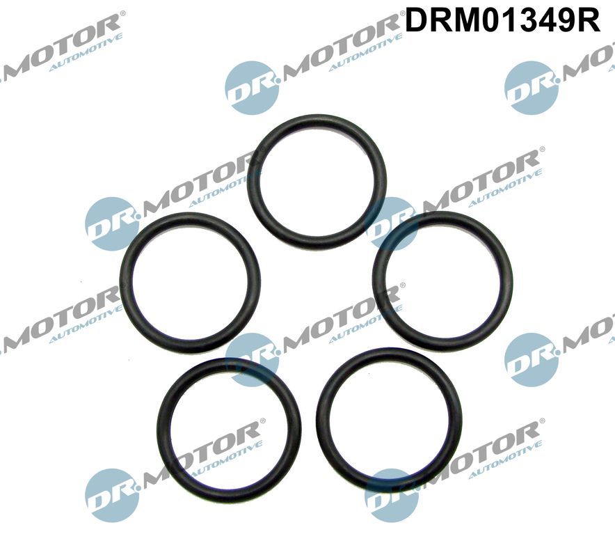 DR.MOTOR AUTOMOTIVE DRM01349R Seal ring, oil drain plug