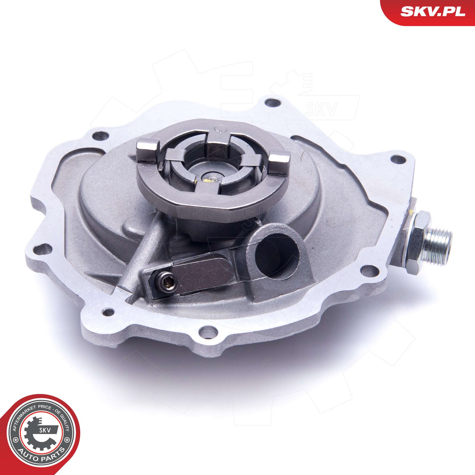 ESEN SKV 18SKV029 Vacuum pump, braking system