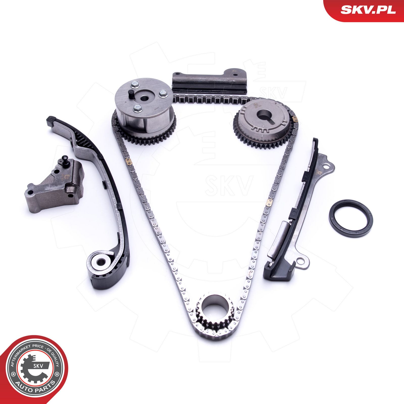 Timing Chain Kit