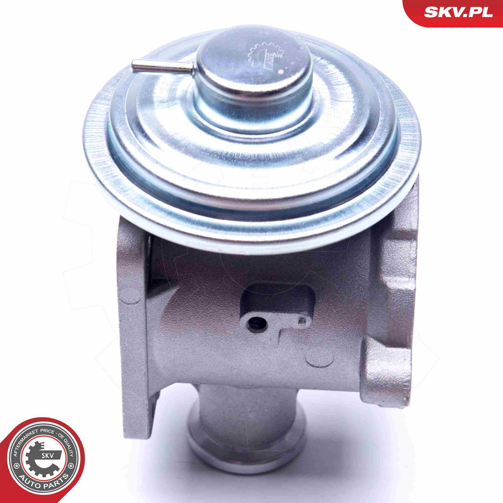 EGR Valve-1