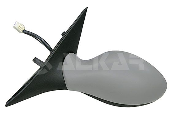 Exterior Mirror