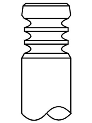 Intake Valve