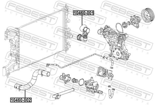 Radiator Hose-1