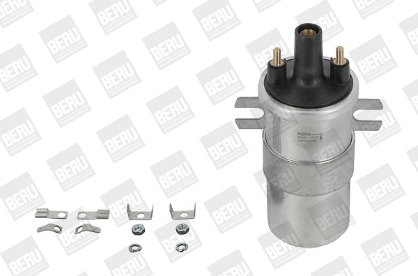 BORGWARNER (BERU) ZS568 Ignition coil