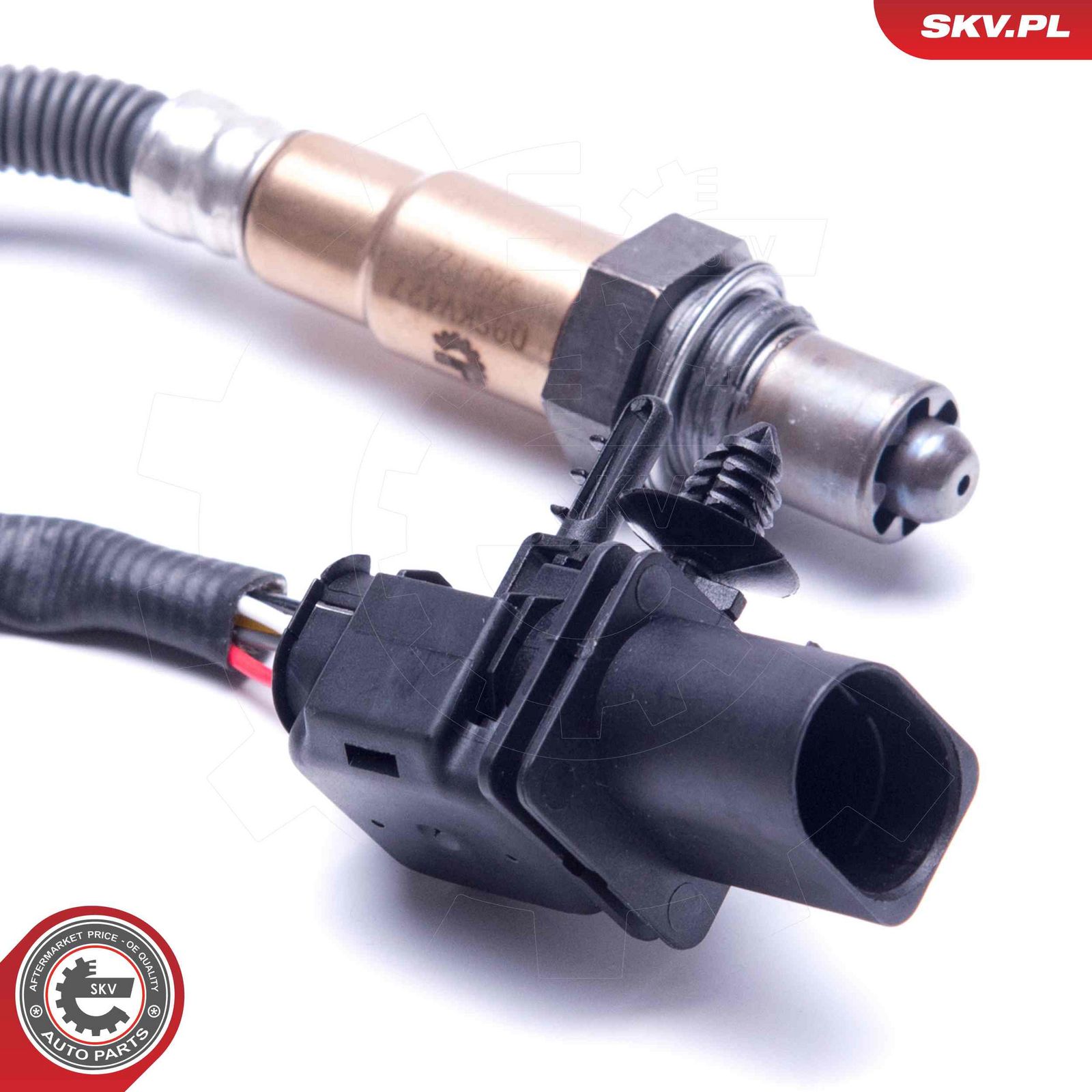 Oxygen Sensor-1