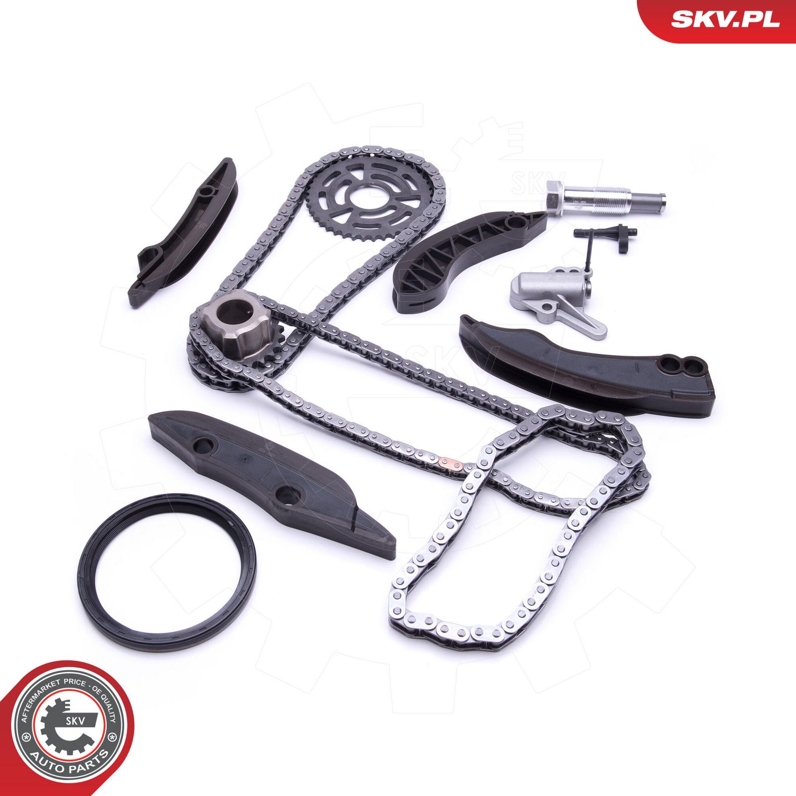 Timing Chain Kit