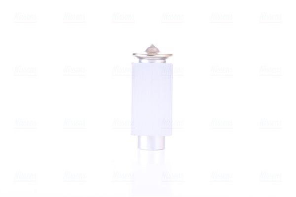 Expansion Valve, air conditioning-2