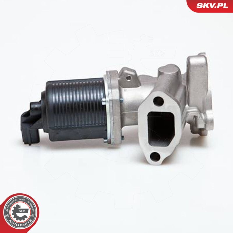 EGR Valve-6