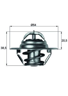 Thermostat, coolant