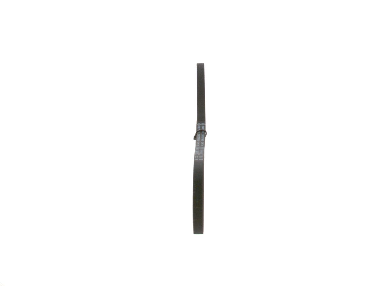 V-ribbed Belt-1